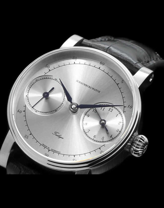 Schaumburg Watch Prokyon