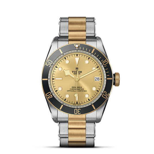 TUDOR Black Bay S&G 41mm steel and Gold M79733N-0004
