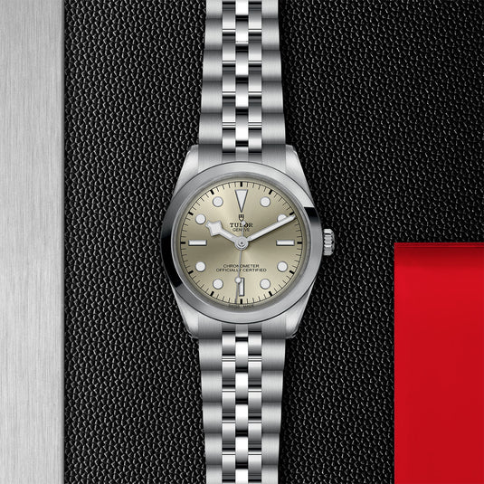TUDOR Black Bay 36 M79640-0003