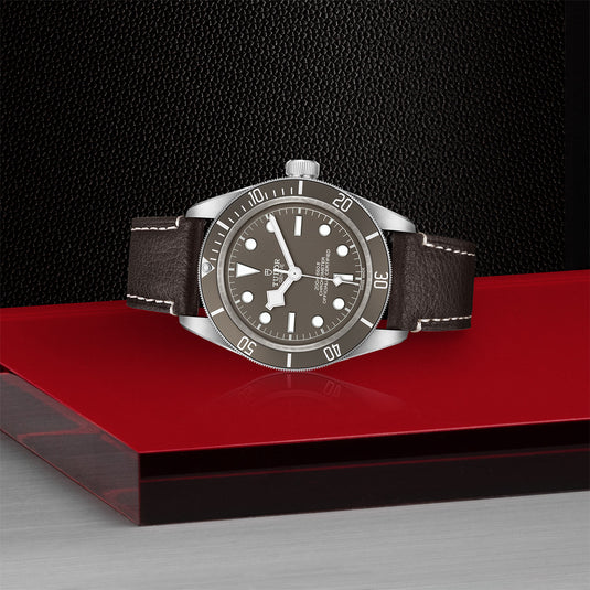 TUDOR Black Bay Fifty-Eight 925 M79010SG-0001
