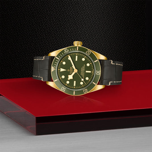 TUDOR Black Bay Fifty-Eight 18k M79018V-0001