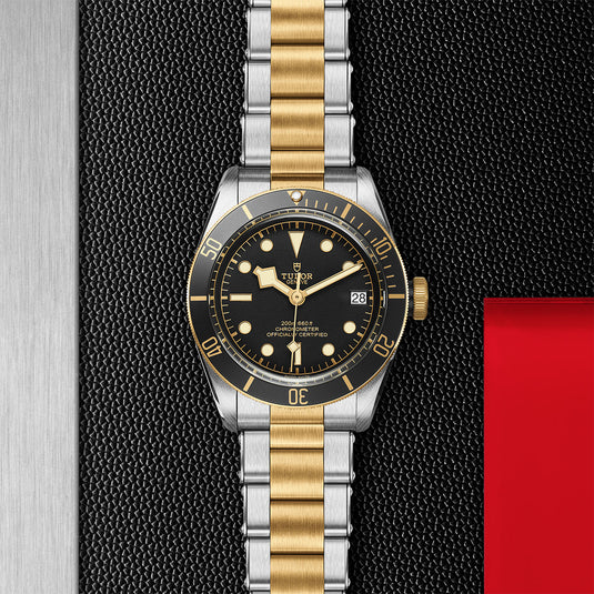 TUDOR Black Bay S&G 41mm steel and Gold M79733N-0008