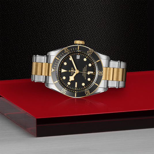TUDOR Black Bay S&G 41mm steel and Gold M79733N-0008