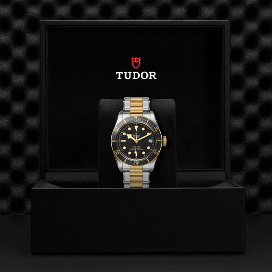 TUDOR Black Bay S&G 41mm steel and Gold M79733N-0008